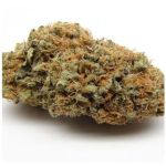 Шишки AK47 (Гидропоника, Бошка) VHQ в Красноуфимске Шишки AK47 (Гидропоника, Бошка) VHQ в Красноуфимске